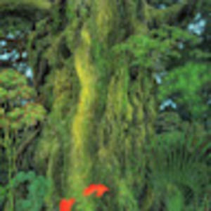 Meet your Posher, Viet